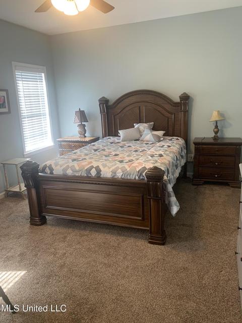 218 Circle Gate Dr, Senatobia, MS 38668 photo 14