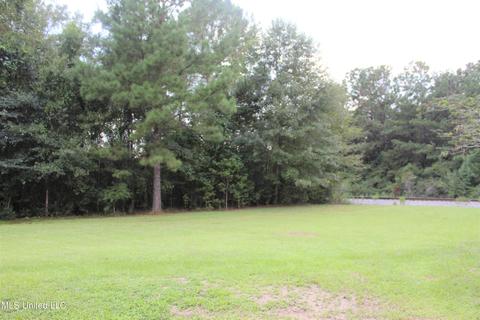 111 Murray Cowart Rd, Lucedale, MS 39452 photo 21