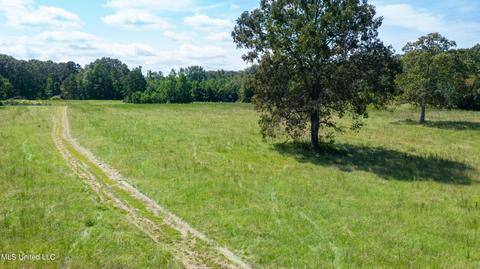 3617 Green Gable Rd, Terry, MS 39170 photo 33