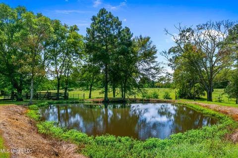3617 Green Gable Rd, Terry, MS 39170 photo 9