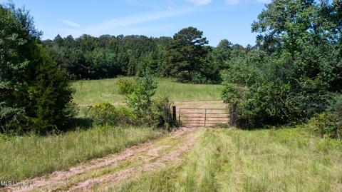 3617 Green Gable Rd, Terry, MS 39170 photo 28