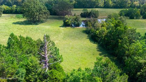 3617 Green Gable Rd, Terry, MS 39170 photo 36