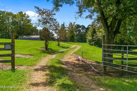 3617 Green Gable Rd, Terry, MS 39170 photo 3