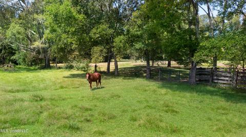 3617 Green Gable Rd, Terry, MS 39170 photo 19