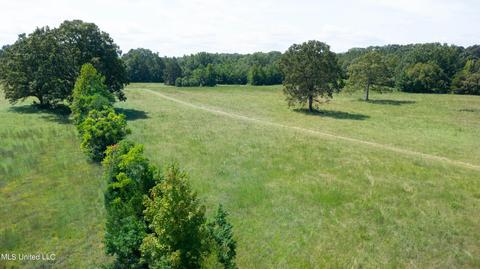 3617 Green Gable Rd, Terry, MS 39170 photo 32