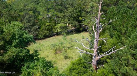 3617 Green Gable Rd, Terry, MS 39170 photo 35