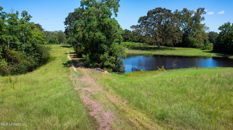 3617 Green Gable Rd, Terry, MS 39170 photo 34