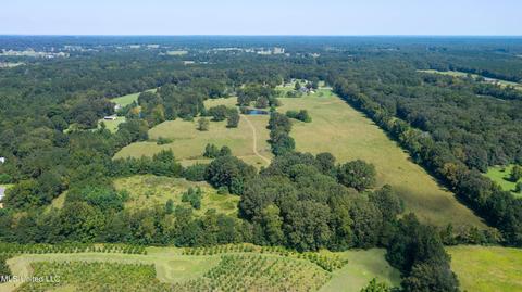 3617 Green Gable Rd, Terry, MS 39170 photo 39