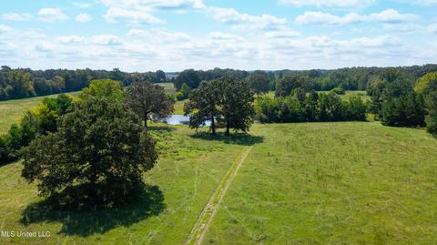 3617 Green Gable Rd, Terry, MS 39170 photo 38