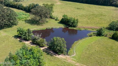 3617 Green Gable Rd, Terry, MS 39170 photo 24