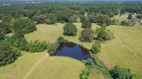 3617 Green Gable Rd, Terry, MS 39170 photo 25