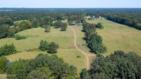 3617 Green Gable Rd, Terry, MS 39170 photo 26