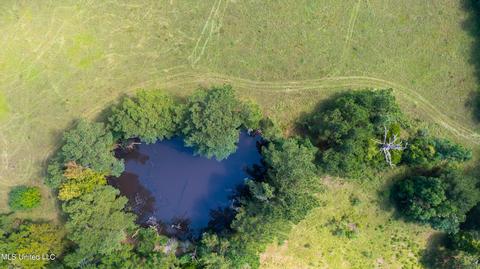 3617 Green Gable Rd, Terry, MS 39170 photo 22
