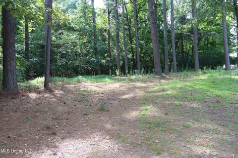 24 Boone Dr, Hernando, MS 38632 photo 17