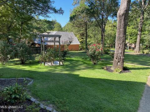 4230 Spring Valley Dr, Olive Branch, MS 38654 photo 3