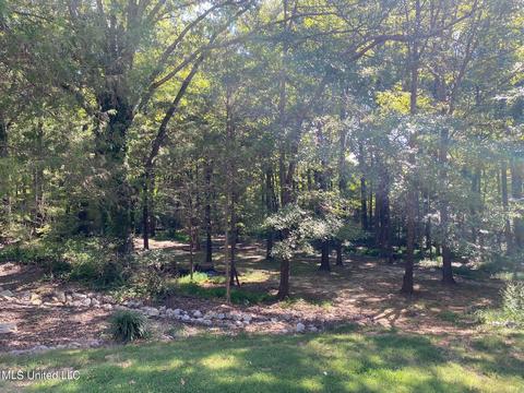 4230 Spring Valley Dr, Olive Branch, MS 38654 photo 5