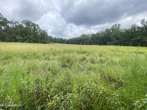 2622 Cox Rd, Benton, MS 39039 photo 1