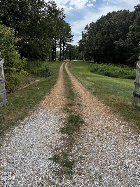 7042 E Tate Rd, Coldwater, MS 38618 photo 2