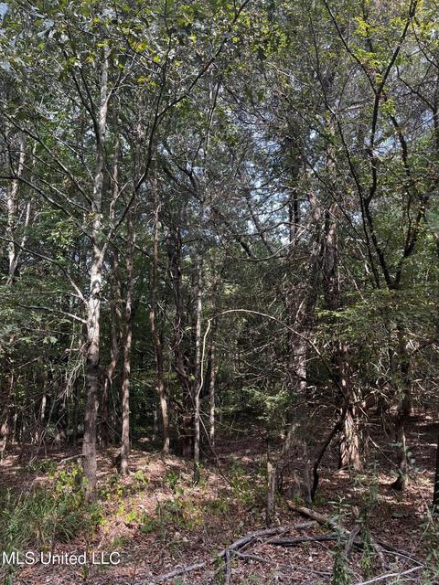 7042 E Tate Rd, Coldwater, MS 38618 photo 19