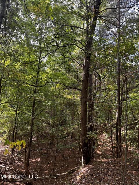 7042 E Tate Rd, Coldwater, MS 38618 photo 23