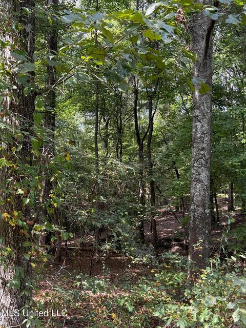 7042 E Tate Rd, Coldwater, MS 38618 photo 20