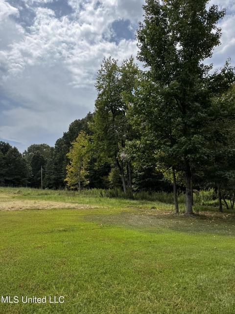 7042 E Tate Rd, Coldwater, MS 38618 photo 18
