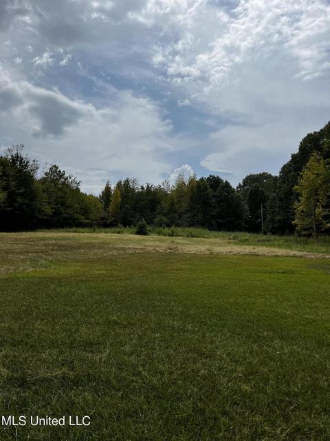 7042 E Tate Rd, Coldwater, MS 38618 photo 16