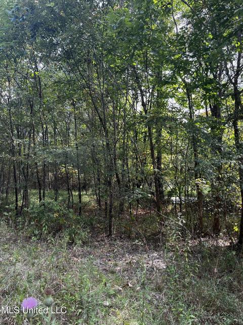 7042 E Tate Rd, Coldwater, MS 38618 photo 22