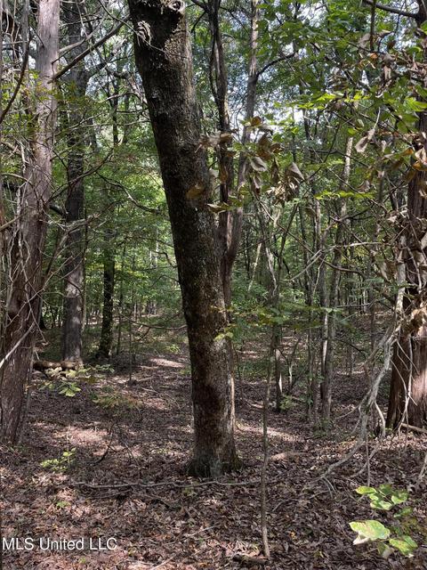 7042 E Tate Rd, Coldwater, MS 38618 photo 21