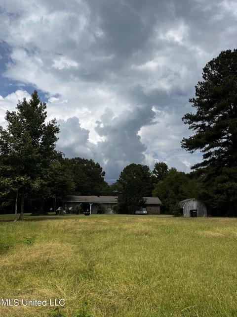 7042 E Tate Rd, Coldwater, MS 38618 photo 24