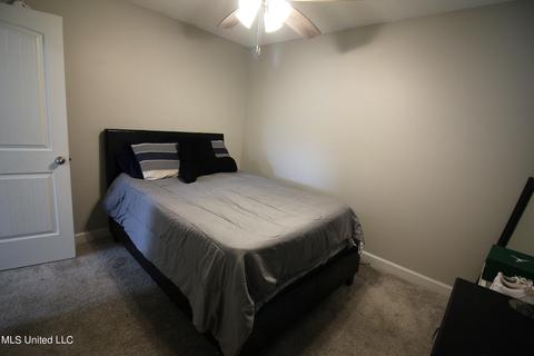 7721 Morningside Cv, Walls, MS 38680 photo 19
