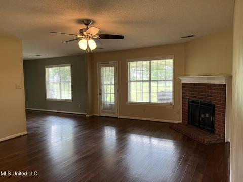 3120 Windermere Dr, Nesbit, MS 38651 photo 3