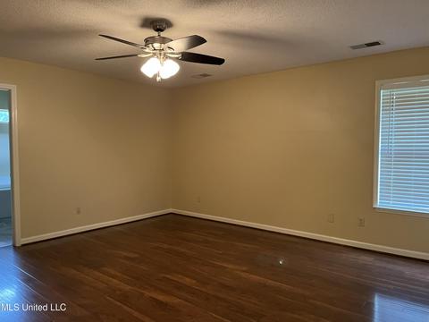 3120 Windermere Dr, Nesbit, MS 38651 photo 10