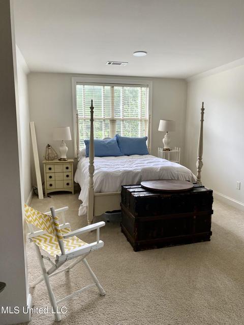 267 Lake Cir, Madison, MS 39110 photo 38
