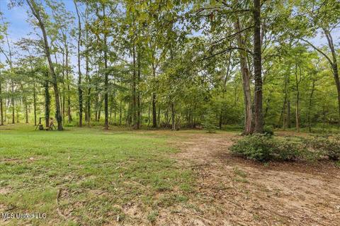 4511 Pine Lake Dr, Terry, MS 39170 photo 41