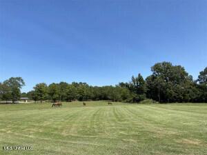 227 Dampeer Rd, Canton, MS 39046 photo 1