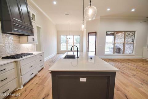 207 Disciple Dr, Brandon, MS 39047 photo 13