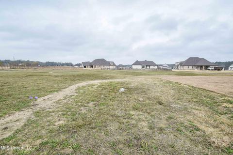 207 Disciple Dr, Brandon, MS 39047 photo 44