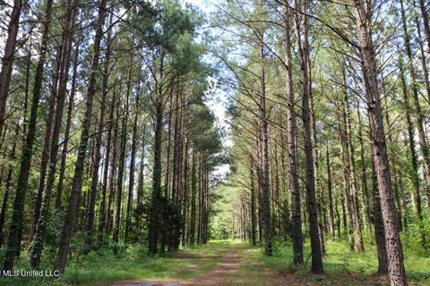4908 County Road 8, Heidelberg, MS 39439