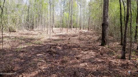 1108 Joe Dear Rd, Harrisville, MS 39082