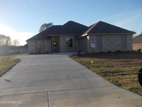 101 Brunswick Cv, Canton, MS 39046 photo 1