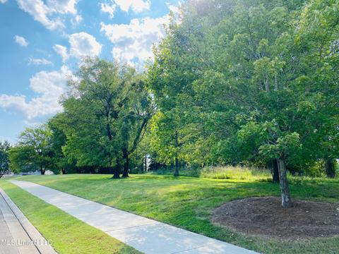 233 Honours Drive Dr, Madison, MS 39110 photo 37