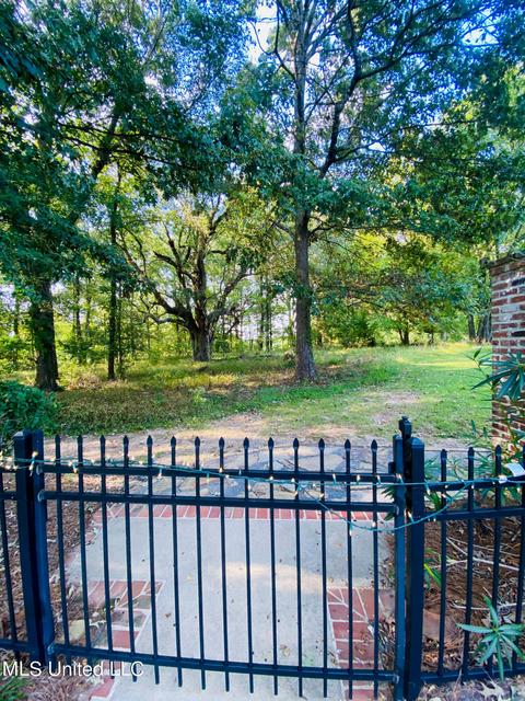 233 Honours Drive Dr, Madison, MS 39110 photo 34