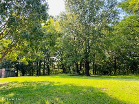 233 Honours Drive Dr, Madison, MS 39110 photo 38