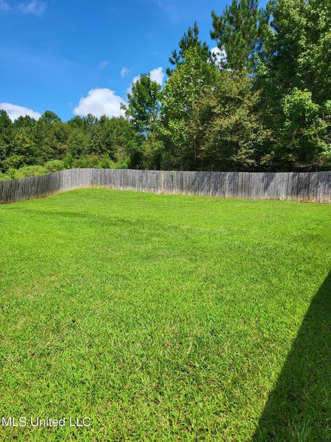 177 Copper Ridge Ln, Florence, MS 39073 photo 32