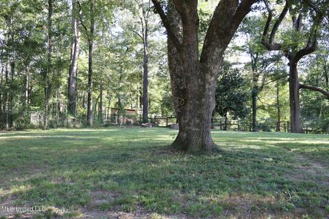 1352 Riverwood Dr, Jackson, MS 39211 photo 25