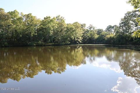 1352 Riverwood Dr, Jackson, MS 39211 photo 27