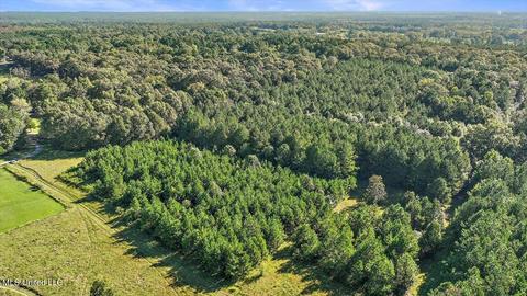0 Mount Helm Rd, Brandon, MS 39047 photo 21