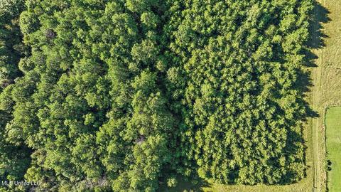 0 Mount Helm Rd, Brandon, MS 39047 photo 15