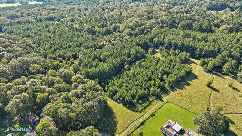 0 Mount Helm Rd, Brandon, MS 39047 photo 7